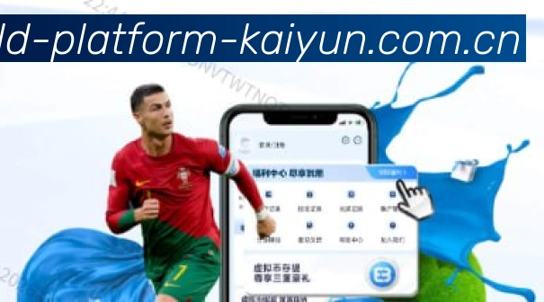 未来规划